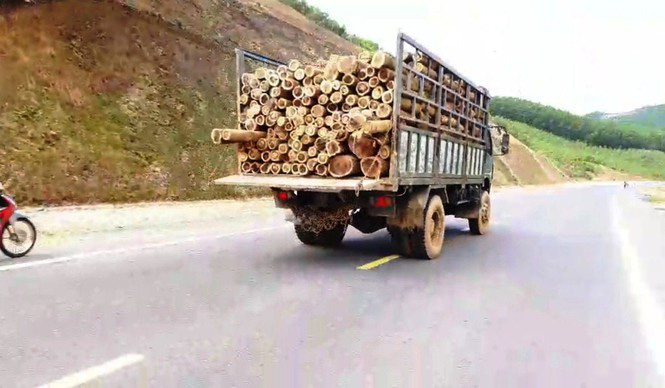 'Vỡ trận' quản lý, bảo vệ hàng rào sắt tuyến đường cao tốc 11 nghìn tỉ? - Ảnh 10. 'Vỡ trận' quản lý, bảo vệ hàng rào sắt tuyến đường cao tốc 11 nghìn tỉ? - Ảnh 10.