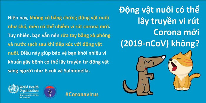 Kiến thức mới nhất về dịch virus corona (2019-nCoV) cần biết để phòng ngừa hiệu quả - Ảnh 14. Kiến thức mới nhất về dịch virus corona (2019-nCoV) cần biết để phòng ngừa hiệu quả - Ảnh 14.