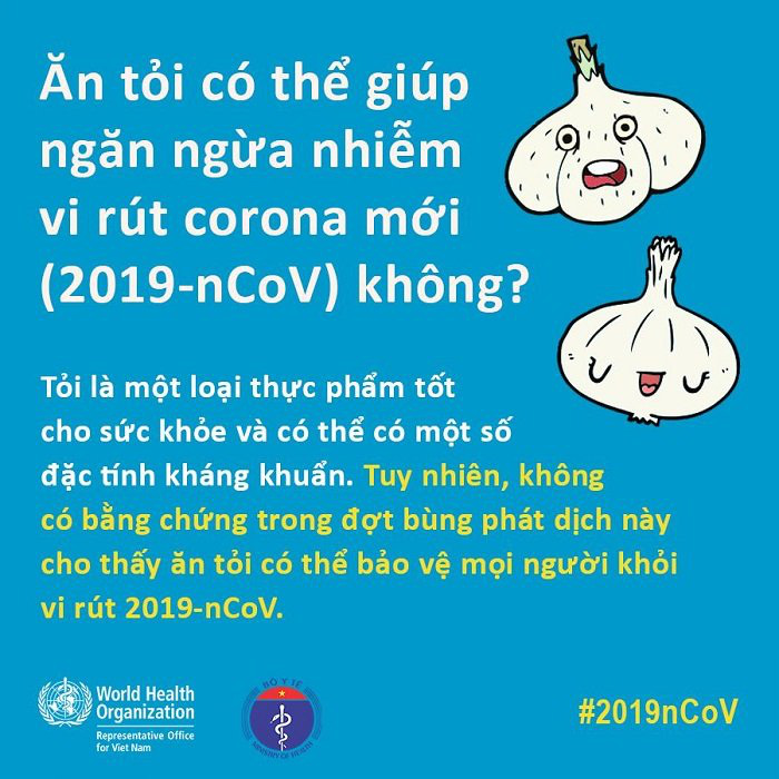 Kiến thức mới nhất về dịch virus corona (2019-nCoV) nhất định phải biết - Ảnh 4. Kiến thức mới nhất về dịch virus corona (2019-nCoV) nhất định phải biết - Ảnh 4.