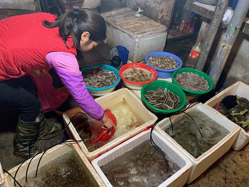 Chiêu bán hàng mới, chị bán rau, bà buôn cá bình thản mùa dịch - Ảnh 1. Chiêu bán hàng mới, chị bán rau, bà buôn cá bình thản mùa dịch - Ảnh 1.