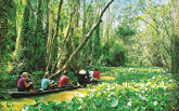 Đồng Tháp tạm dừng đón khách du lịch quốc tế để phòng tránh dịch corona
