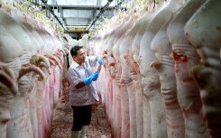 Giá thành một kg heo hơi 45.000 đồng nhưng kêu mãi vẫn không giảm, cứ trên 80.000 đồng/kg