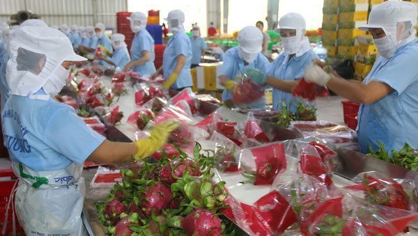 Châu Âu đóng cửa biên giới vì dịch Covid-19, doanh nghiệp xuất nhập khẩu Việt Nam có bị ảnh hưởng? - Ảnh 2. Châu Âu đóng cửa biên giới vì dịch Covid-19, doanh nghiệp xuất nhập khẩu Việt Nam có bị ảnh hưởng? - Ảnh 2.