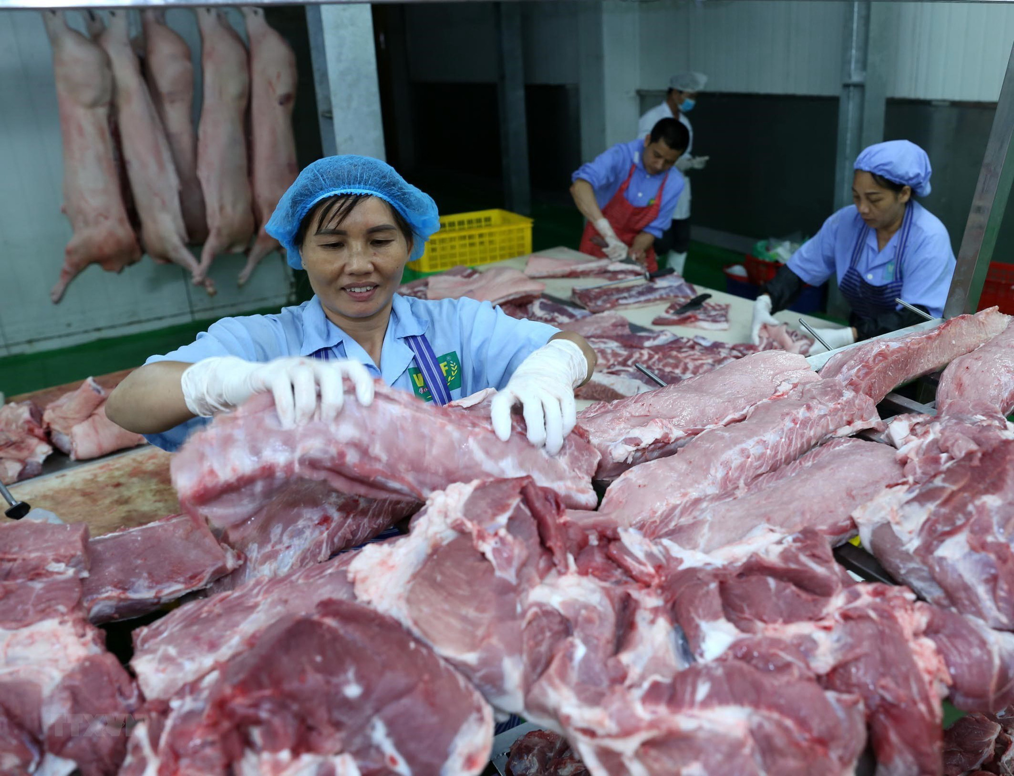 Thủ tướng: Nếu không đưa được giá thịt lợn xuống dưới 60.000 đồng/kg thì buộc phải nhập khẩu - Ảnh 1. Thủ tướng: Nếu không đưa được giá thịt lợn xuống dưới 60.000 đồng/kg thì buộc phải nhập khẩu - Ảnh 1.