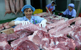Thủ tướng: Nếu không đưa được giá thịt lợn xuống dưới 60.000 đồng/kg thì buộc phải nhập khẩu