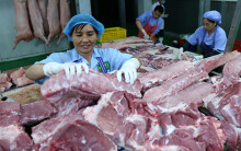 Thủ tướng: Nếu không đưa được giá thịt lợn xuống dưới 60.000 đồng/kg thì buộc phải nhập khẩu