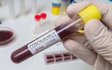WHO: Ít nhất 20 loại vaccine ngừa Covid-19 đang chạy đua với thời gian để cứu người