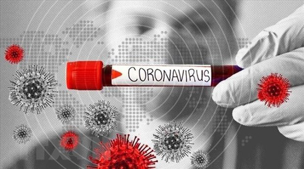 Cơ thể người đề kháng với COVID-19 như thế nào? - Ảnh 1. Cơ thể người đề kháng với COVID-19 như thế nào? - Ảnh 1.