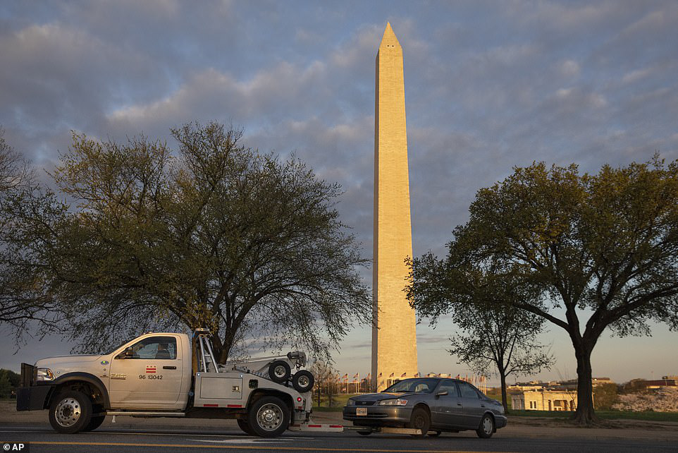 Bất chấp dịch corona, hàng trăm người vẫn đổ về Washington DC để ngắm hoa anh đào - Ảnh 8.