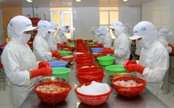 Cảnh báo doanh nghiệp Việt bị lừa vì tin đối tác tại Mỹ - Ảnh 1.