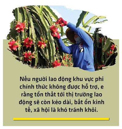 Lao động điêu đứng trong cơn lốc dịch bệnh - Ảnh 7. Lao động điêu đứng trong cơn lốc dịch bệnh - Ảnh 7.
