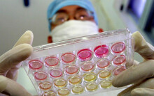 'Virus có thể đã lây trên người nhiều thập kỉ mới bùng phát ở Vũ Hán'