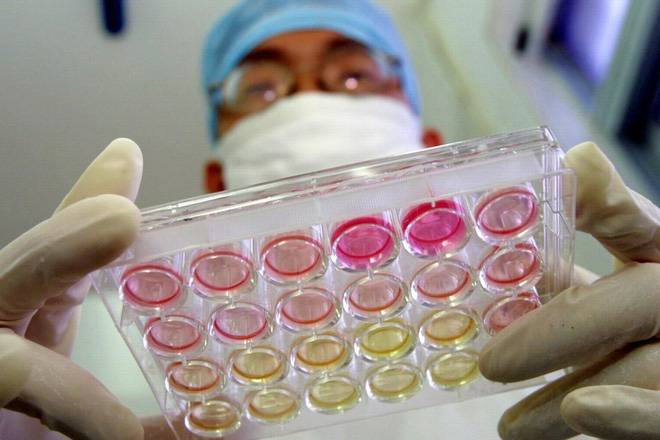 'Virus có thể đã lây trên người nhiều thập kỉ mới bùng phát ở Vũ Hán' - Ảnh 1.