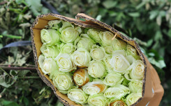 Hoa hồng Langbiang chất đống ngoài bãi rác