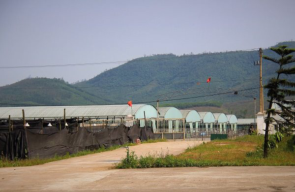 Hoàng Anh Gia Lai và những ‘dấu chân’ để lại trong vụ án ngàn tỉ tại BIDV - Ảnh 2. Hoàng Anh Gia Lai và những ‘dấu chân’ để lại trong vụ án ngàn tỉ tại BIDV - Ảnh 2.