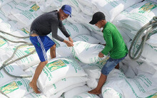 Thủ tướng yều cầu mua đủ 190.000 tấn gạo, 90.000 tấn lúa, đảm bảo lương thực dư dả cho 100 triệu dân