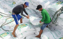 Thủ tướng yều cầu mua đủ 190.000 tấn gạo, 90.000 tấn lúa, đảm bảo lương thực dư dả cho 100 triệu dân