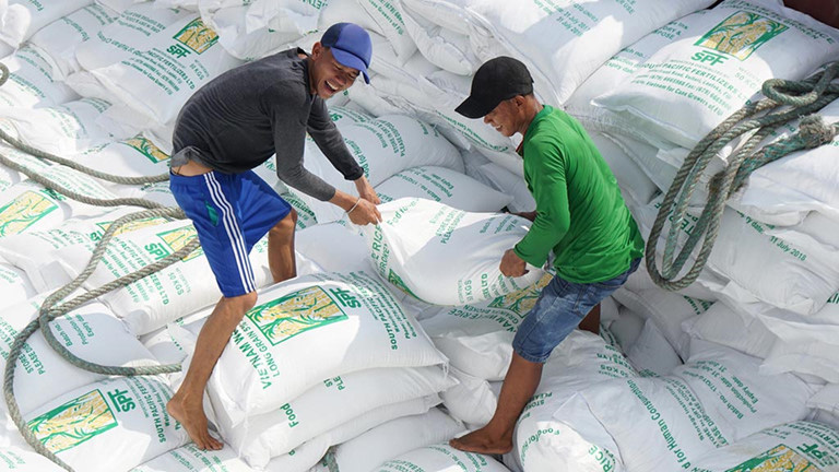 Thủ tướng yều cầu mua đủ 190.000 tấn gạo, 90.000 tấn lúa, đảm bảo dư dả cho 100 triệu dân - Ảnh 1. Thủ tướng yều cầu mua đủ 190.000 tấn gạo, 90.000 tấn lúa, đảm bảo dư dả cho 100 triệu dân - Ảnh 1.
