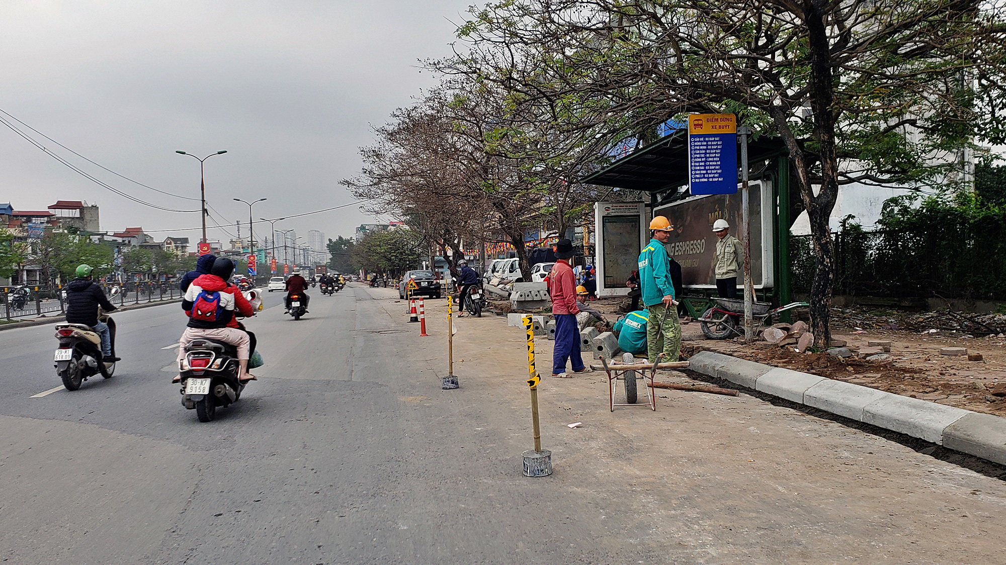 Ngọc hồi  - Ảnh 13.