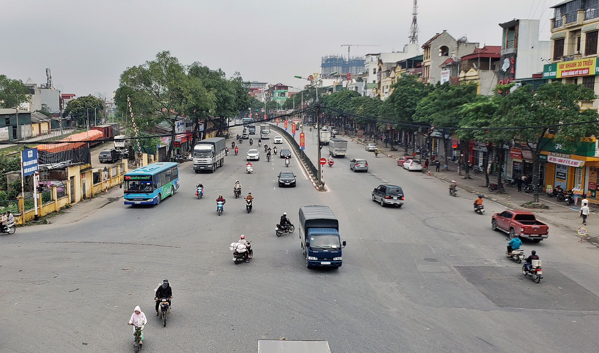 Ngọc hồi  - Ảnh 2.