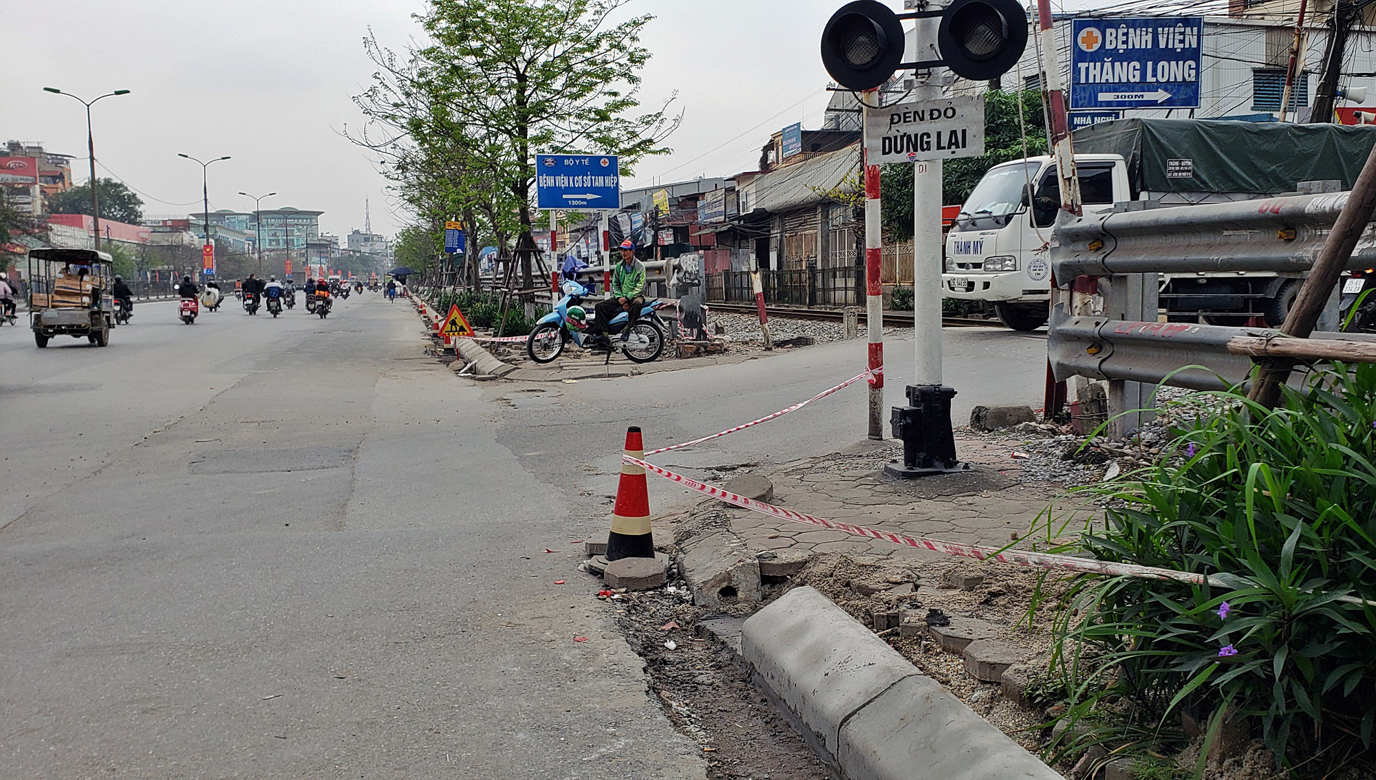Ngọc hồi  - Ảnh 7.