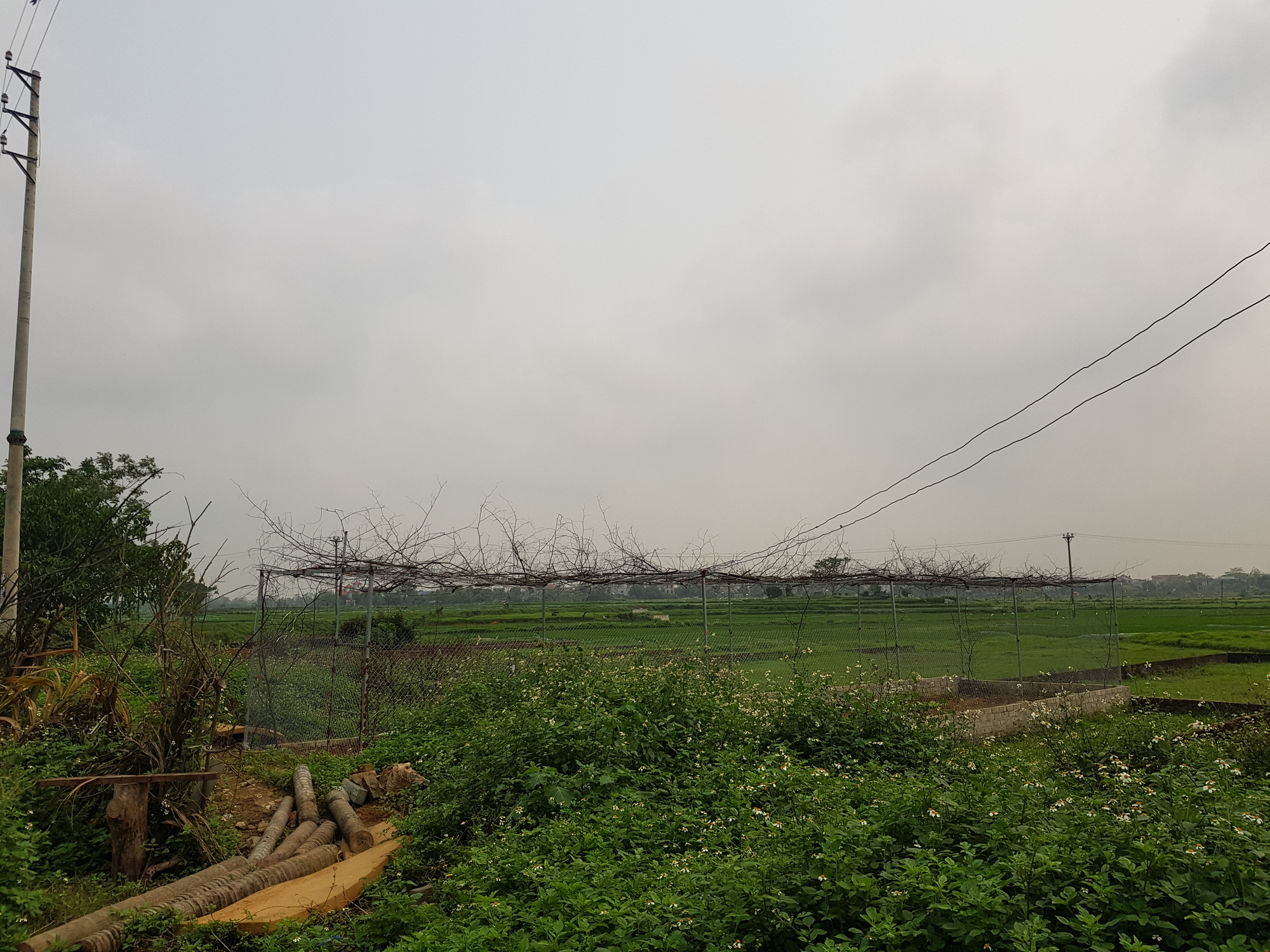 Sốt đất Hoà Lạc: Chuyên gia BĐS 'bóc mẽ' chiêu trò của 'cò' đất - Ảnh 1. Sốt đất Hoà Lạc: Chuyên gia BĐS 'bóc mẽ' chiêu trò của 'cò' đất - Ảnh 1.
