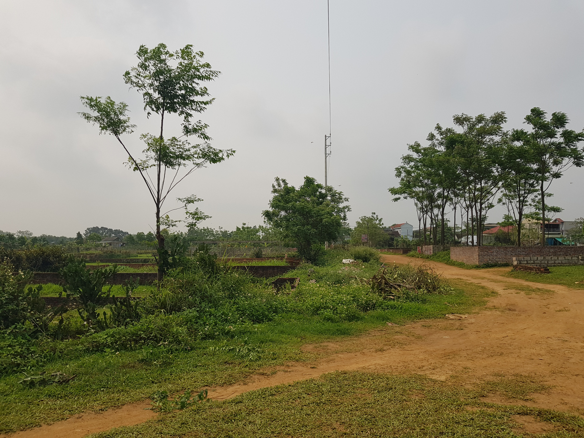 Sốt đất Hoà Lạc: Chuyên gia BĐS 'bóc mẽ' chiêu trò của 'cò' đất - Ảnh 3. Sốt đất Hoà Lạc: Chuyên gia BĐS 'bóc mẽ' chiêu trò của 'cò' đất - Ảnh 3.