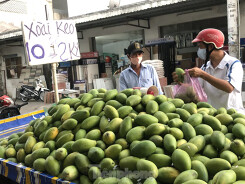 Xoài vào mùa, tràn xuống lề đường giá chỉ 5.000 đồng/kg
