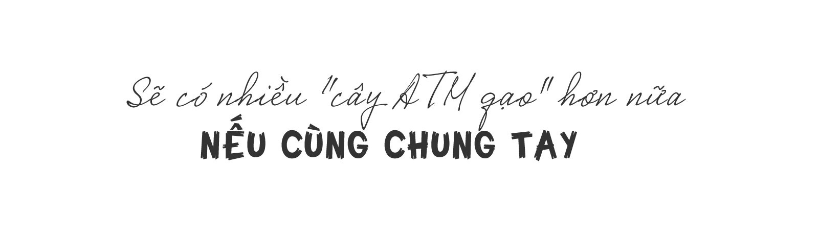 Bí mật của Hoàng Tuấn Anh - ông chủ ATM gạo từ thiện đình đám - Ảnh 11. Bí mật của Hoàng Tuấn Anh - ông chủ ATM gạo từ thiện đình đám - Ảnh 11.