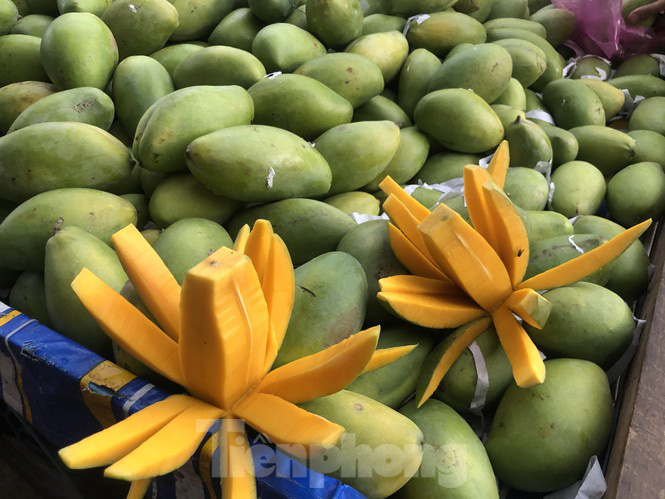 Xoài vào mùa, tràn xuống lề đường giá chỉ 5.000 đồng/kg - Ảnh 2. Xoài vào mùa, tràn xuống lề đường giá chỉ 5.000 đồng/kg - Ảnh 2.