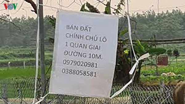 'Sốt ảo' và chiêu trò của các cò đất trong mùa dịch - Ảnh 1. 'Sốt ảo' và chiêu trò của các cò đất trong mùa dịch - Ảnh 1.