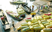 Thủ tướng đồng ý cho xuất khẩu gạo nhưng yêu cầu không được để thiếu trong nước