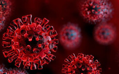 Nghiên cứu: Virus corona vẫn sống sót ở nhiệt độ 60°C