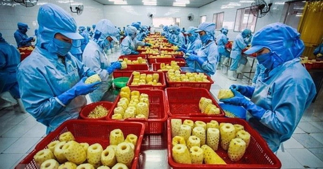 Doanh nghiệp làm gì để sống sót qua đại dịch? - Ảnh 1. Doanh nghiệp làm gì để sống sót qua đại dịch? - Ảnh 1.
