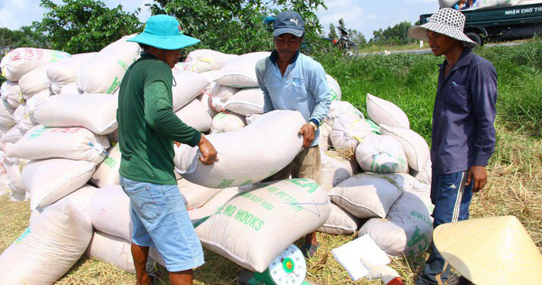 Tổng cục Hải quan nói gì việc bị doanh nghiệp 'tố' mở tờ khai xuất khẩu gạo lúc nửa đêm? - Ảnh 1. Tổng cục Hải quan nói gì việc bị doanh nghiệp 'tố' mở tờ khai xuất khẩu gạo lúc nửa đêm? - Ảnh 1.