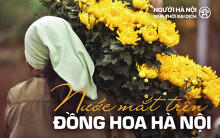 Nước mắt trên đồng hoa Hà Nội