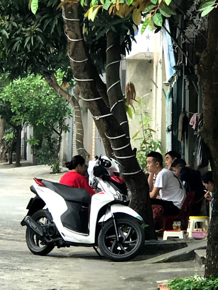 Nghệ An trong ngày cuối cùng của đợt cách li xã hội - Ảnh 4. Nghệ An trong ngày cuối cùng của đợt cách li xã hội - Ảnh 4.