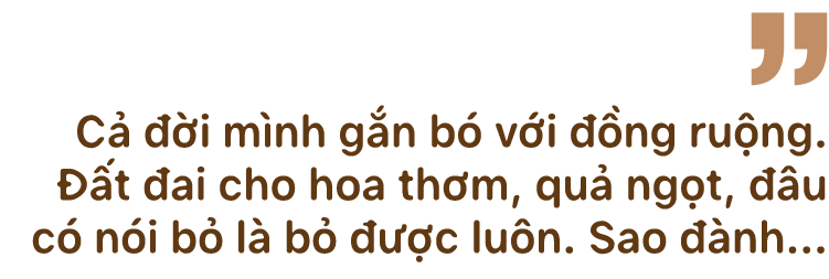 Những cánh đồng hoa ‘chảy máu’ - Ảnh 11. Những cánh đồng hoa ‘chảy máu’ - Ảnh 11.