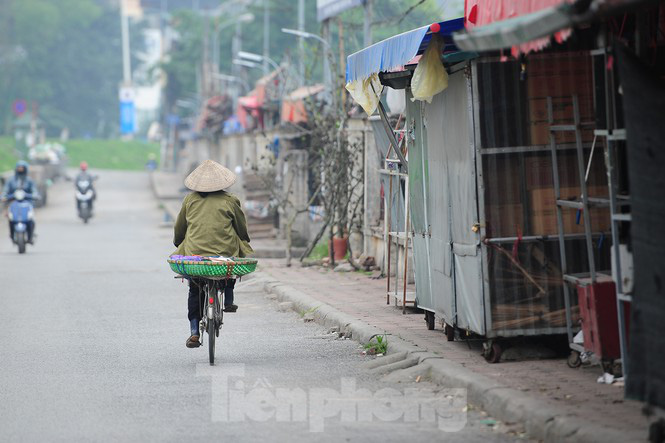 Chợ hoa lớn nhất Hà Nội đóng cửa chuyển sang bán hàng trực tuyến - Ảnh 5. Chợ hoa lớn nhất Hà Nội đóng cửa chuyển sang bán hàng trực tuyến - Ảnh 5.