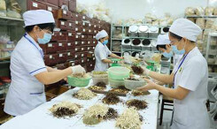 Bộ Y tế chỉ đạo tăng cường phòng, chống COVID-19 bằng thuốc y học cổ truyền