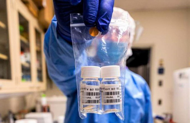 Tin vui về vaccine Covid-19 - Ảnh 1. Tin vui về vaccine Covid-19 - Ảnh 1.