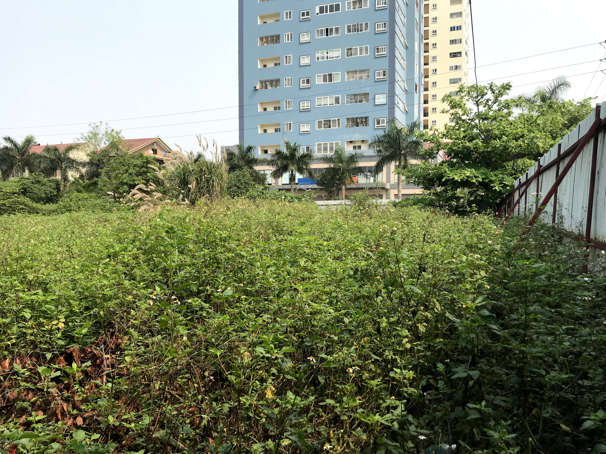 Nghệ An: Đất dự án hơn 1,1 ha ở TP Vinh bị bỏ hoang suốt 13 năm - Ảnh 12. Nghệ An: Đất dự án hơn 1,1 ha ở TP Vinh bị bỏ hoang suốt 13 năm - Ảnh 12.
