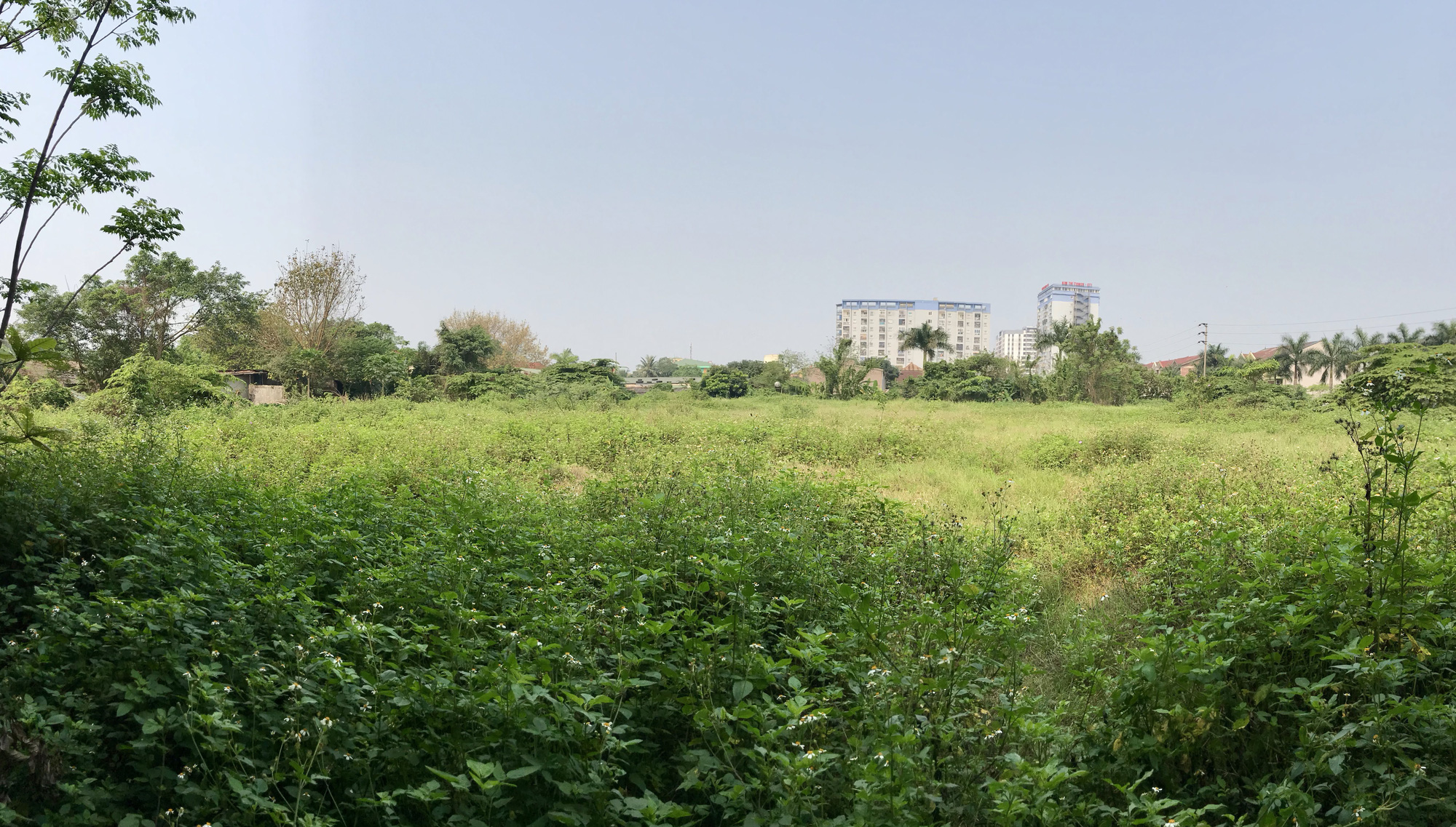 Nghệ An: Đất dự án hơn 1,1 ha ở TP Vinh bị bỏ hoang suốt 13 năm - Ảnh 7. Nghệ An: Đất dự án hơn 1,1 ha ở TP Vinh bị bỏ hoang suốt 13 năm - Ảnh 7.