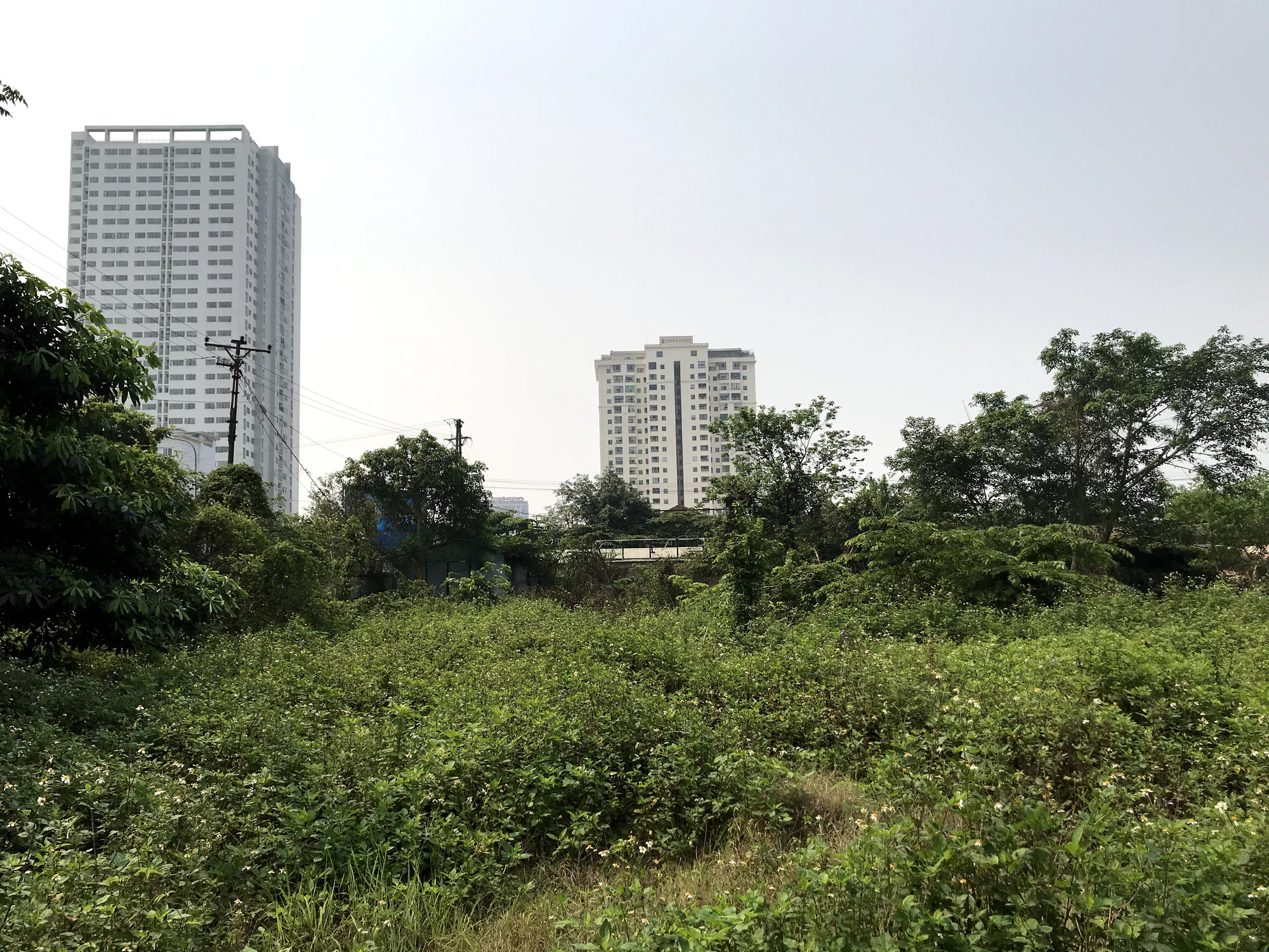 Nghệ An: Đất dự án hơn 1,1 ha ở TP Vinh bị bỏ hoang suốt 13 năm - Ảnh 13. Nghệ An: Đất dự án hơn 1,1 ha ở TP Vinh bị bỏ hoang suốt 13 năm - Ảnh 13.