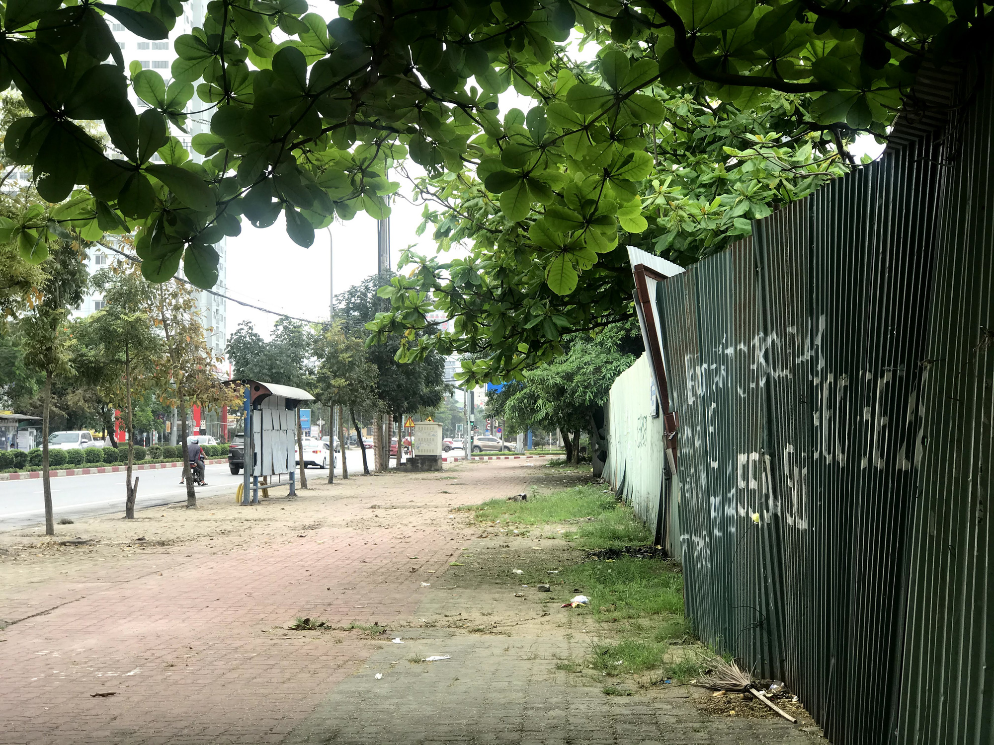 Nghệ An: Đất dự án hơn 1,1 ha ở TP Vinh bị bỏ hoang suốt 13 năm - Ảnh 5. Nghệ An: Đất dự án hơn 1,1 ha ở TP Vinh bị bỏ hoang suốt 13 năm - Ảnh 5.