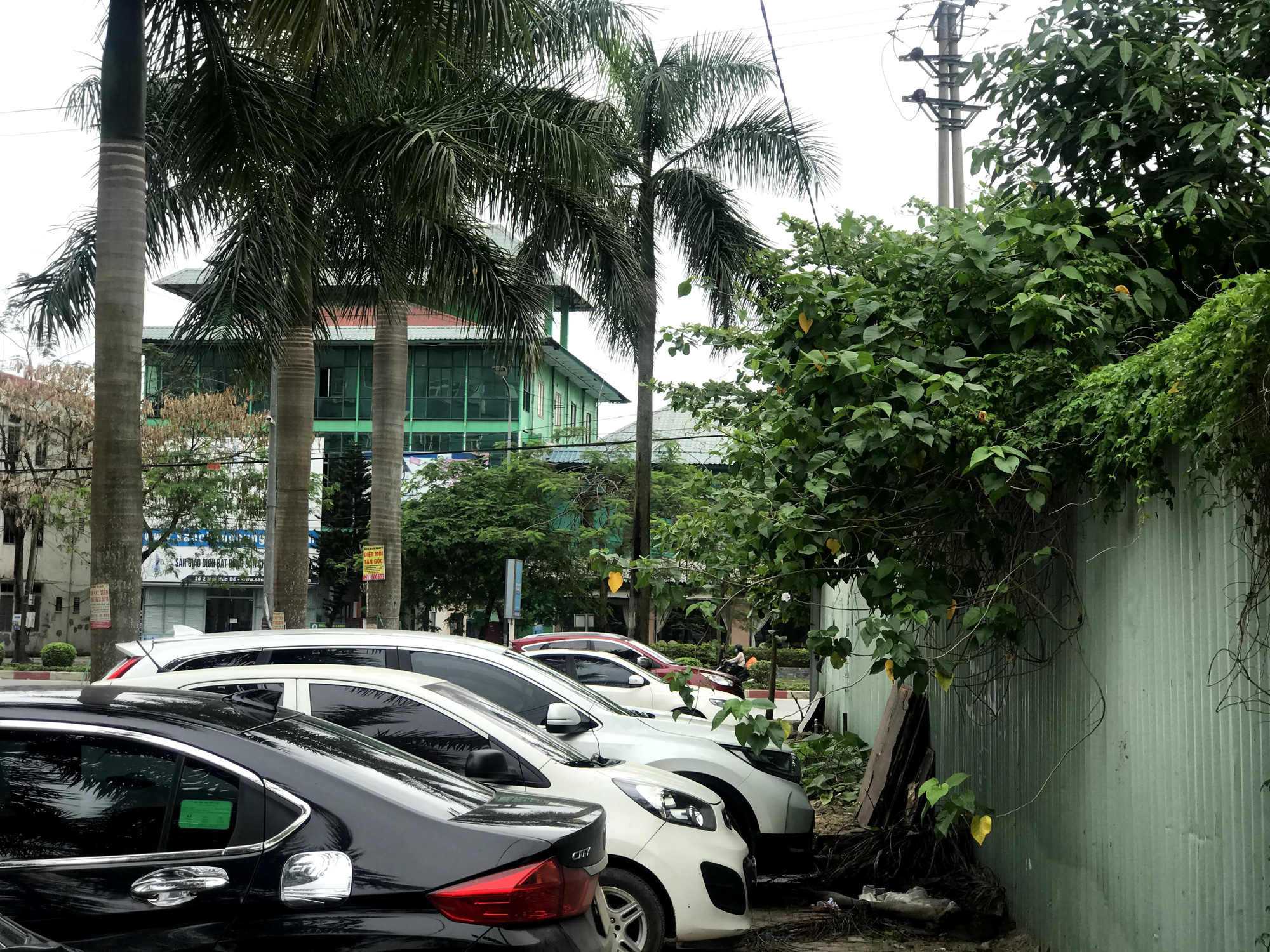 Nghệ An: Đất dự án hơn 1,1 ha ở TP Vinh bị bỏ hoang suốt 13 năm - Ảnh 9. Nghệ An: Đất dự án hơn 1,1 ha ở TP Vinh bị bỏ hoang suốt 13 năm - Ảnh 9.