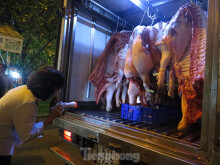 Heo về chợ đầu mối 'tuột' không phanh
