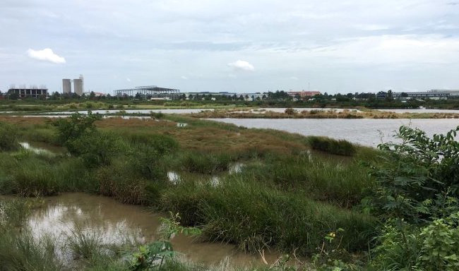 Góp tiền mua đất, khách hàng 'trắng tay' sau 17 năm chờ đợi - Ảnh 2. Góp tiền mua đất, khách hàng 'trắng tay' sau 17 năm chờ đợi - Ảnh 2.