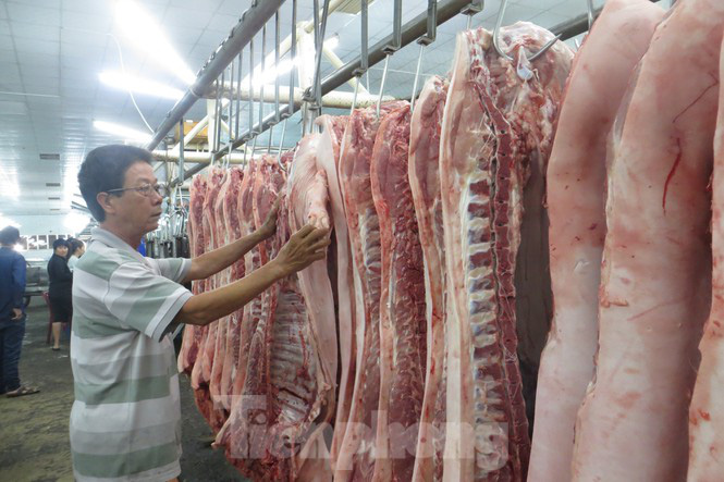 Heo về chợ đầu mối 'tuột' không phanh - Ảnh 2.