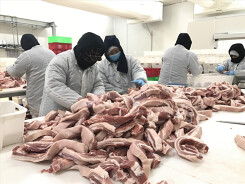 Thêm nguồn thịt lợn nhập khẩu: Vì sao giá vẫn cao?